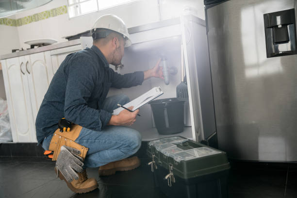 Best Plumbing Services Near Me  in Napoleon, OH