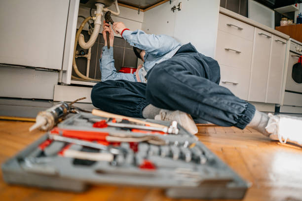 Best Affordable Plumbing Services  in Napoleon, OH