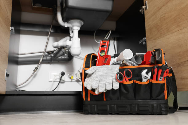 Best Commercial Plumbing Services  in Napoleon, OH
