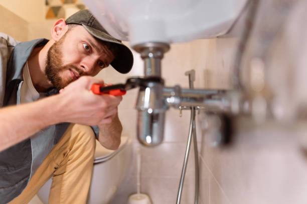 Best Local Plumber Services  in Napoleon, OH