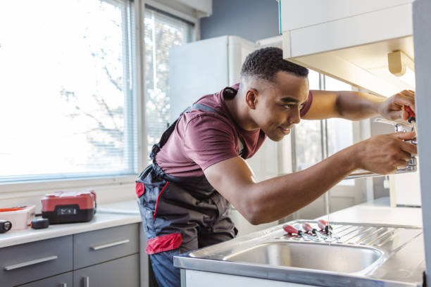 Best Residential Plumbing Services  in Napoleon, OH